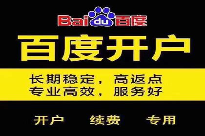 某电商平台的SEM广告投放全流程解析